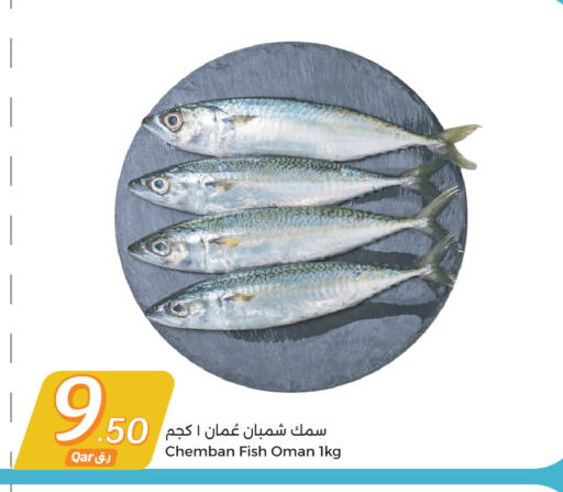 available at City Hypermarket in Qatar - Doha
