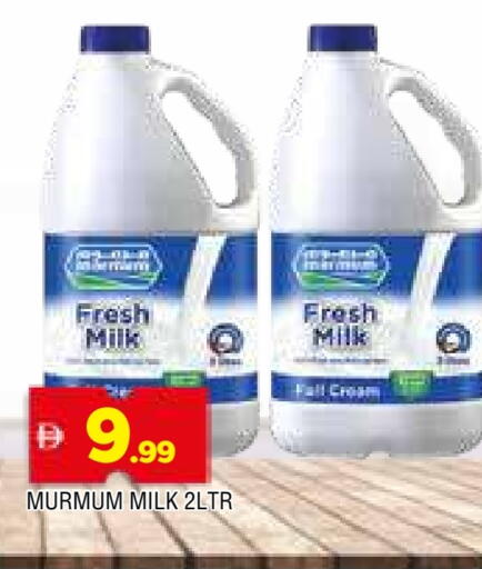 Fresh Milk available at AL MADINA in UAE - Sharjah / Ajman