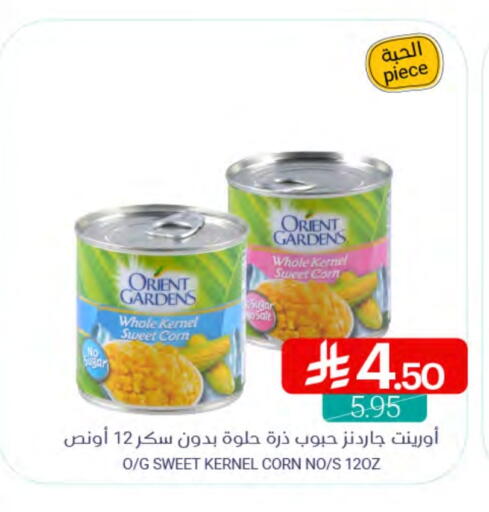 available at Muntazah Markets in KSA, Saudi Arabia, Saudi - Qatif