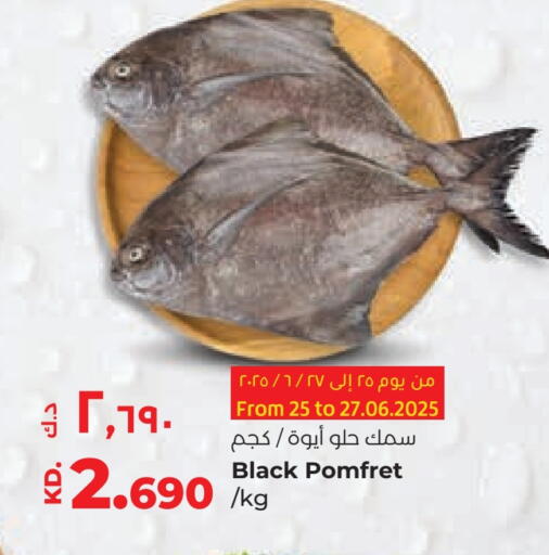 available at Lulu Hypermarket  in Kuwait - Ahmadi Governorate