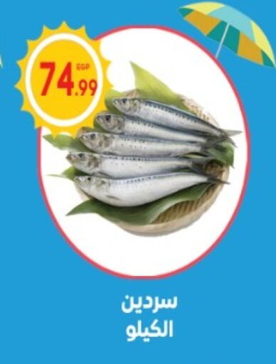 available at El mhallawy Sons in Egypt - Cairo