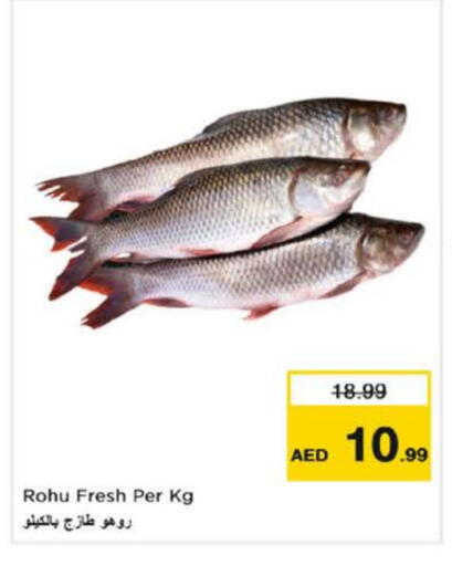 available at Nesto Hypermarket in UAE - Fujairah