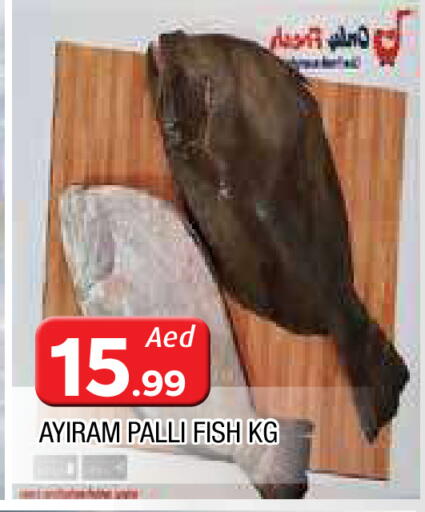 available at AL MADINA in UAE - Sharjah / Ajman