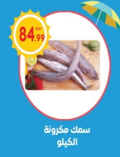 available at أولاد المحاوى in Egypt - القاهرة