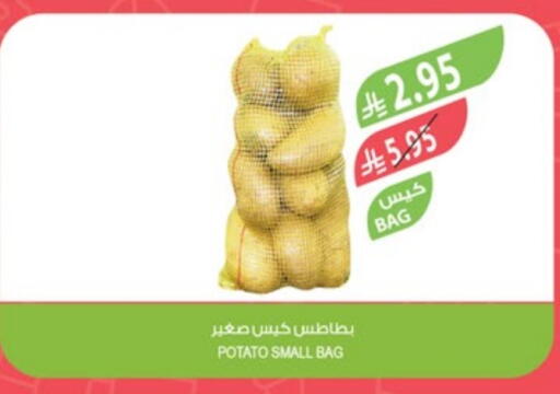 Fresh Vegetables in Farm , Saudi Arabia Offers - Saudi Arabia Potato available at Farm in KSA, Saudi Arabia, Saudi - Al-Kharj
