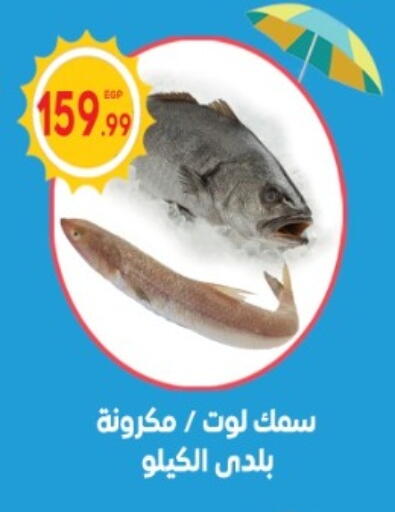 available at El mhallawy Sons in Egypt - Cairo