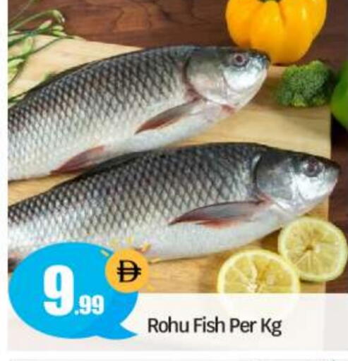 available at بيج مارت in الإمارات العربية المتحدة , الامارات - أبو ظبي
