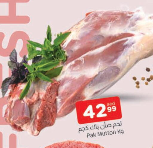 لحم الضأن / الغنم available at المدينة in الإمارات العربية المتحدة , الامارات - الشارقة / عجمان