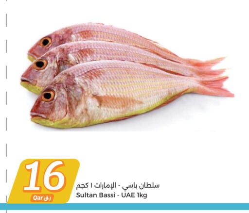 available at سيتي هايبرماركت in قطر - الخور