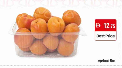 Apricot Mango available at Mango Hypermarket LLC in UAE - Dubai