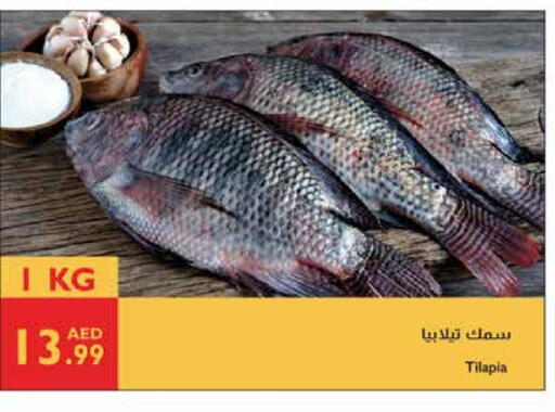 available at إسطنبول سوبرماركت in الإمارات العربية المتحدة , الامارات - ٱلْعَيْن‎