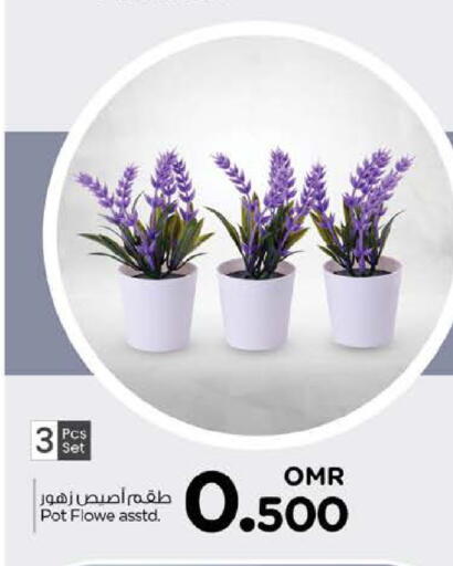 available at نستو هايبر ماركت in عُمان - مسقط‎