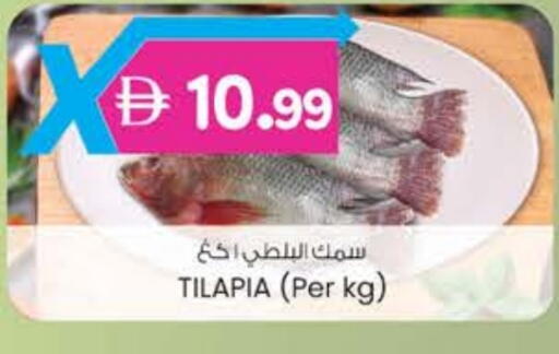 available at ك. إم. هايبرماركت in الإمارات العربية المتحدة , الامارات - ٱلْعَيْن‎