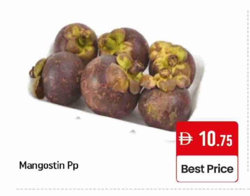 Mango available at Mango Hypermarket LLC in UAE - Dubai