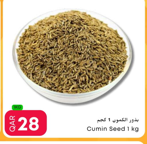Cumin available at Food World Hypermarket in Qatar - Al Shamal