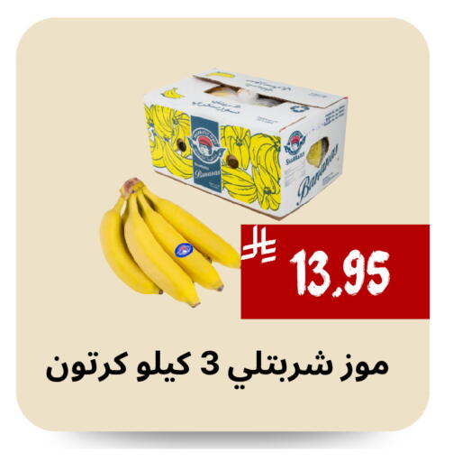 Banana available at Mahasen Central Markets in KSA, Saudi Arabia, Saudi - Al Hasa