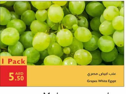 Grapes from Egypt available at Istanbul Supermarket in UAE - Al Ain