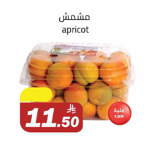 Apricot available at Supermarket Stor in KSA, Saudi Arabia, Saudi - Riyadh
