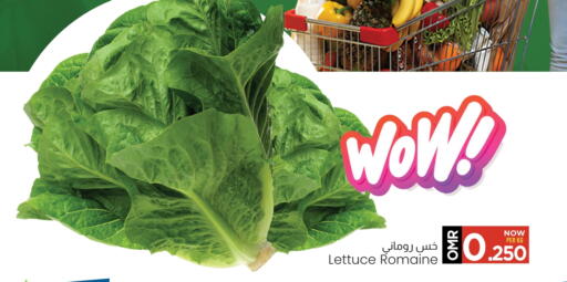 Lettuce available at MARK & SAVE in Oman - Muscat