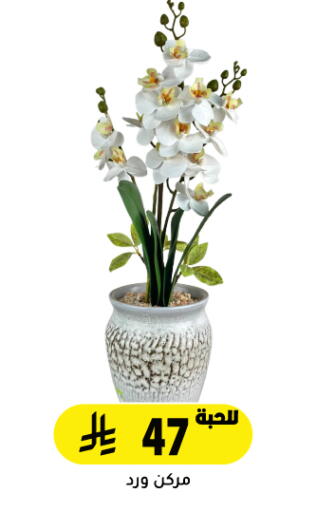 available at تخفيضات العائلة in مملكة العربية السعودية, السعودية, سعودية - الرياض