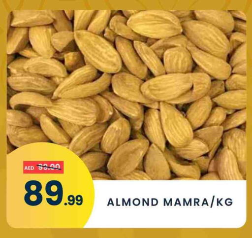 available at مدهور سوبرماركت in الإمارات العربية المتحدة , الامارات - دبي