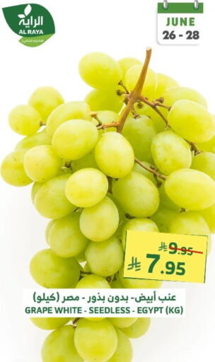 Grapes from Egypt available at Al Raya in KSA, Saudi Arabia, Saudi - Yanbu