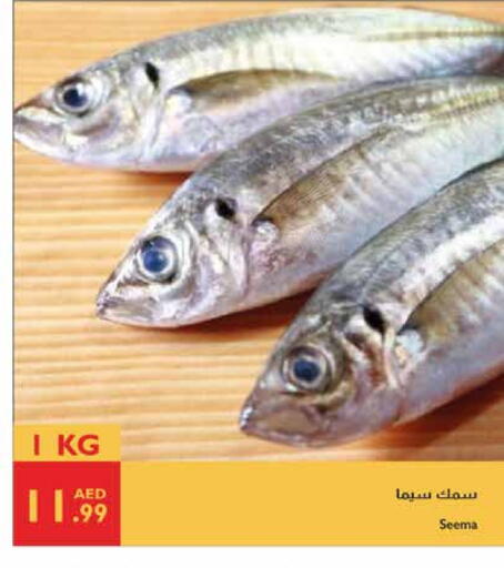 available at إسطنبول سوبرماركت in الإمارات العربية المتحدة , الامارات - ٱلْعَيْن‎