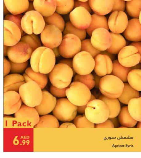 Apricot available at Istanbul Supermarket in UAE - Al Ain