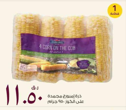 Frozen Fruits & Veg in Rawabi Hypermarket, Qatar Offers - Qatar available at Rawabi Hypermarket in Qatar - Al-Shahaniya