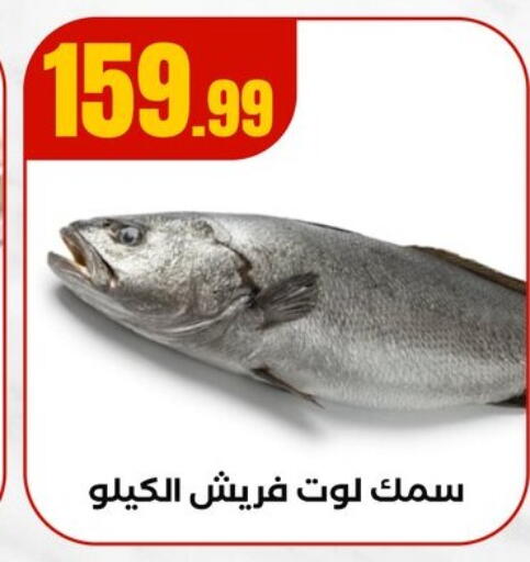 available at مارت فيل in Egypt - القاهرة