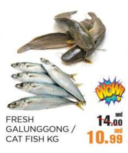 available at OK Hypermarket LLC SPC in UAE - Abu Dhabi