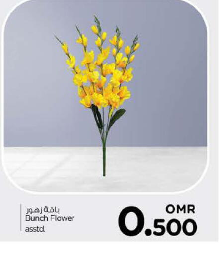 available at نستو هايبر ماركت in عُمان - صُحار‎