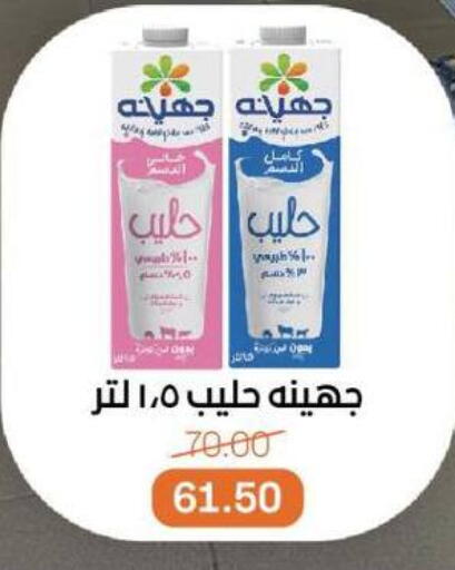 Flavoured Milk available at Beit El Gomla in Egypt - Cairo