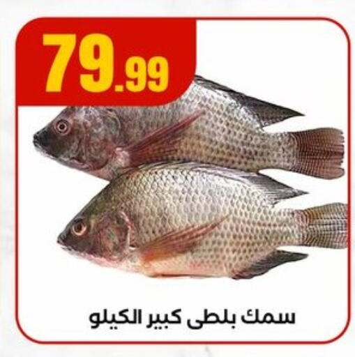 available at مارت فيل in Egypt - القاهرة