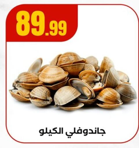 available at MartVille in Egypt - Cairo