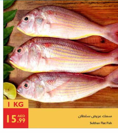 available at إسطنبول سوبرماركت in الإمارات العربية المتحدة , الامارات - ٱلْعَيْن‎