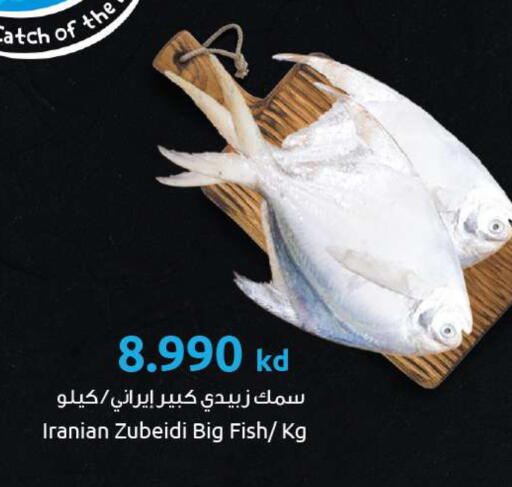 available at The Sultan Center in Kuwait - Kuwait City