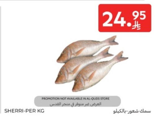 available at كارفور in مملكة العربية السعودية, السعودية, سعودية - جدة