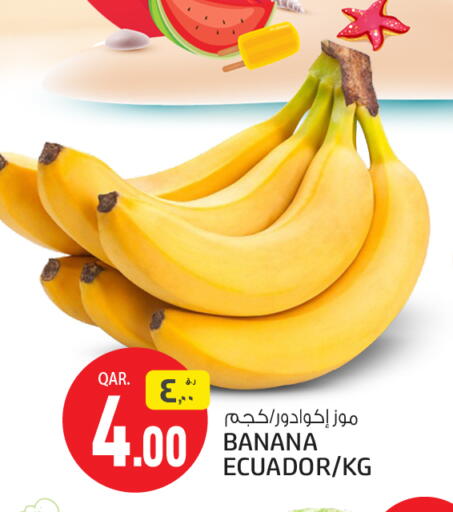 موز from Ecuador available at السعودية in قطر - الوكرة