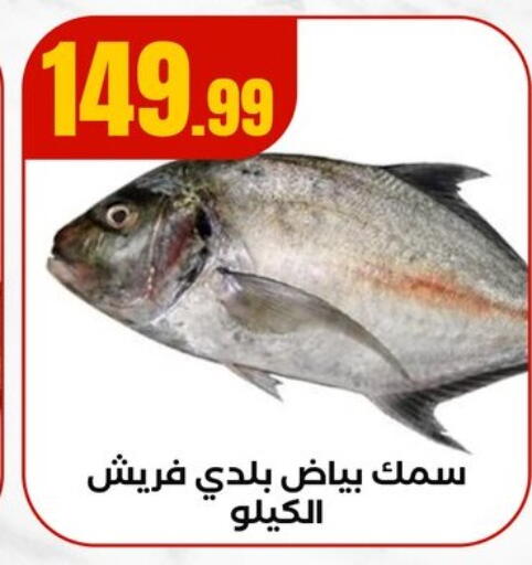 available at مارت فيل in Egypt - القاهرة