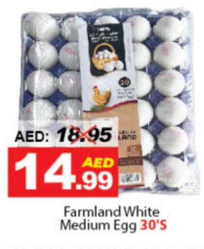 available at DESERT FRESH MARKET  in UAE - Abu Dhabi