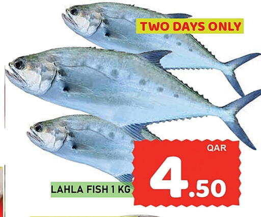 available at باشن هايبر ماركت in قطر - الدوحة