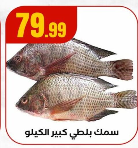 available at مارت فيل in Egypt - القاهرة