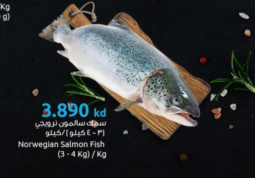 available at The Sultan Center in Kuwait - Kuwait City