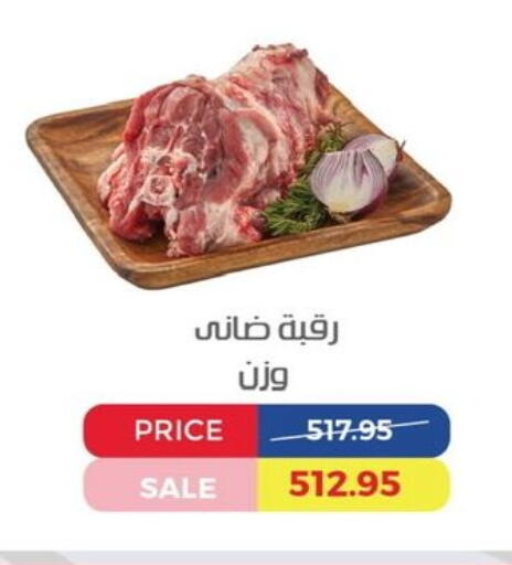 available at Exception Market in Egypt - Cairo