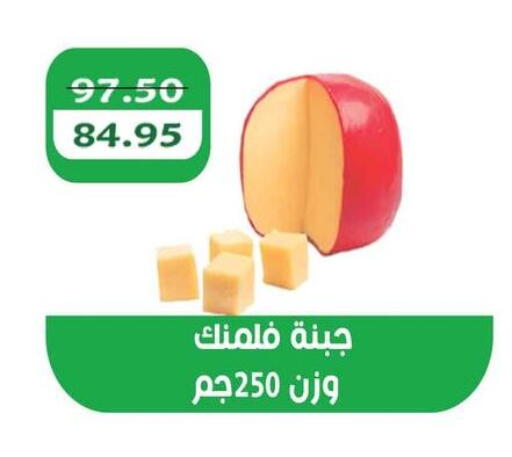 available at Abu Saleh Dairy Market in Egypt - Cairo