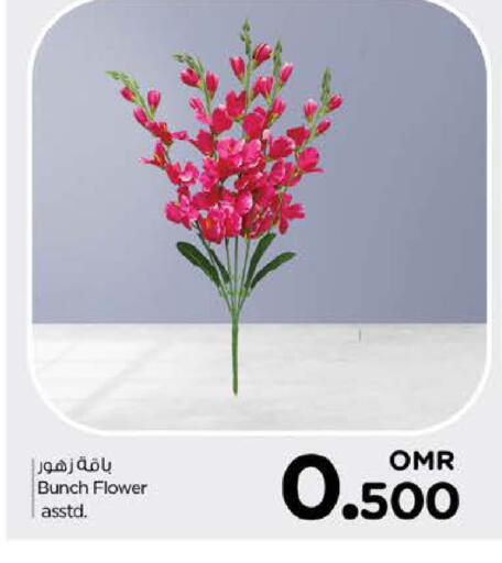 available at نستو هايبر ماركت in عُمان - صُحار‎