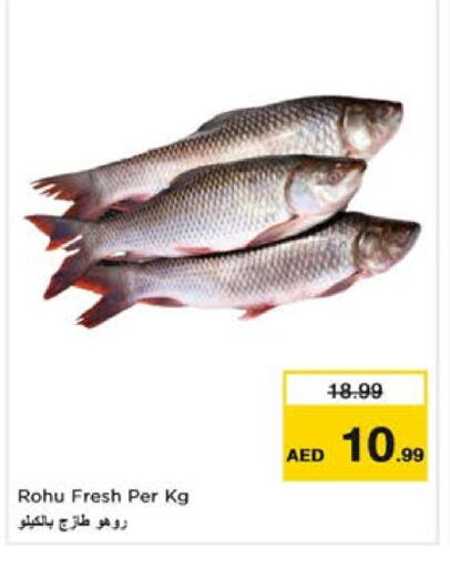 available at Nesto Hypermarket in UAE - Fujairah