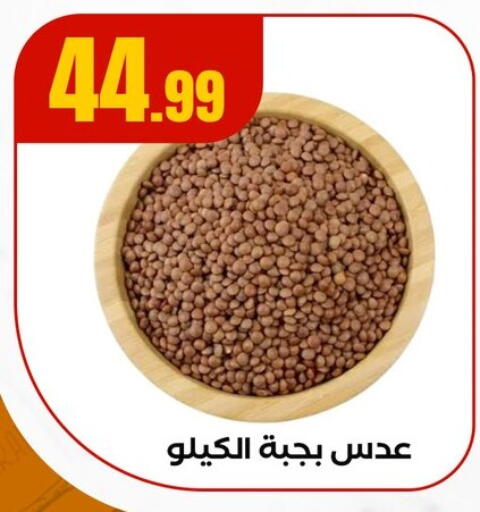 available at MartVille in Egypt - Cairo