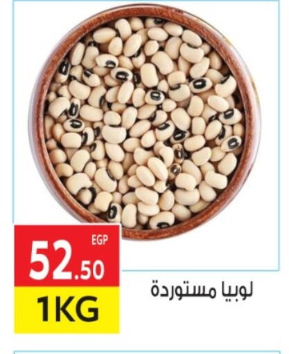 available at El Mahallawy Market  in Egypt - Cairo